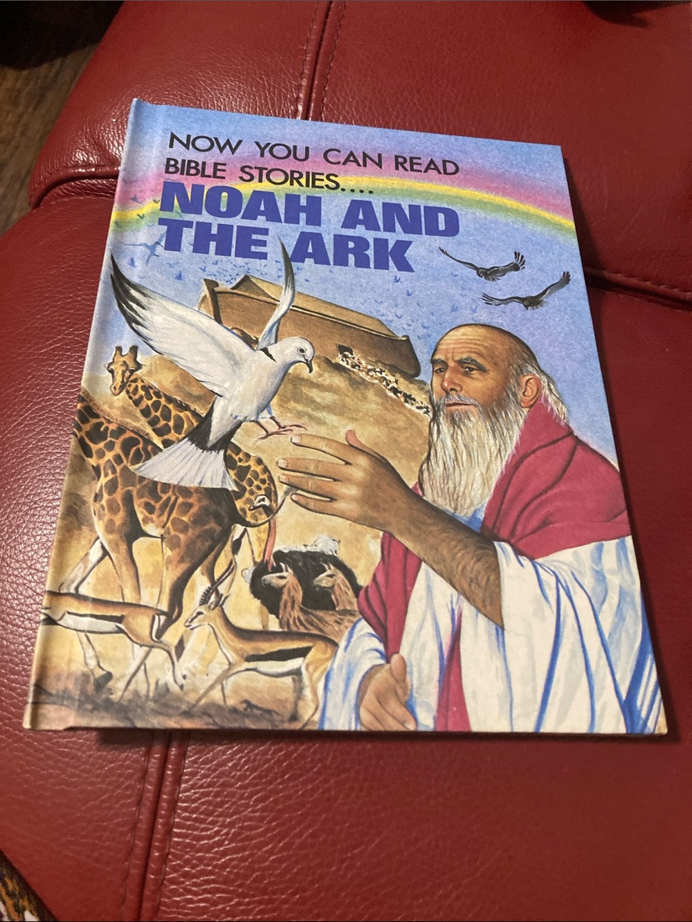 Noah and the Ark Illustrated Children’s Book